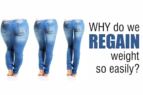 Why do we regain weight so easily?